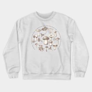 Understood Crewneck Sweatshirt